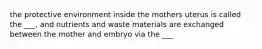 the protective environment inside the mothers uterus is called the ___, and nutrients and waste materials are exchanged between the mother and embryo via the ___