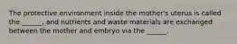 The protective environment inside the mother's uterus is called the ______, and nutrients and waste materials are exchanged between the mother and embryo via the ______.