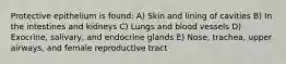 Protective epithelium is found: A) Skin and lining of cavities B) In the intestines and kidneys C) Lungs and blood vessels D) Exocrine, salivary, and endocrine glands E) Nose, trachea, upper airways, and female reproductive tract