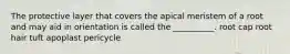 The protective layer that covers the apical meristem of a root and may aid in orientation is called the __________. root cap root hair tuft apoplast pericycle