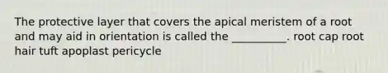 The protective layer that covers the apical meristem of a root and may aid in orientation is called the __________. root cap root hair tuft apoplast pericycle