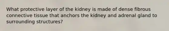 What protective layer of the kidney is made of dense fibrous connective tissue that anchors the kidney and adrenal gland to surrounding structures?