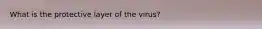 What is the protective layer of the virus?