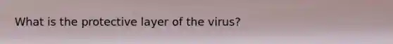 What is the protective layer of the virus?