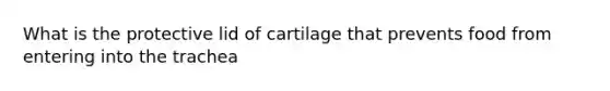 What is the protective lid of cartilage that prevents food from entering into the trachea