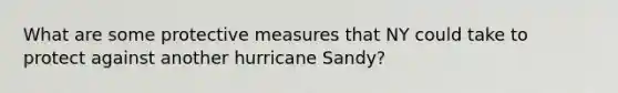 What are some protective measures that NY could take to protect against another hurricane Sandy?