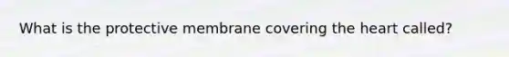 What is the protective membrane covering <a href='https://www.questionai.com/knowledge/kya8ocqc6o-the-heart' class='anchor-knowledge'>the heart</a> called?