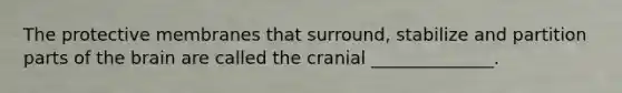 The protective membranes that surround, stabilize and partition parts of the brain are called the cranial ______________.