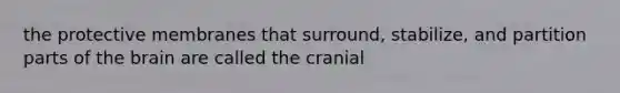 the protective membranes that surround, stabilize, and partition parts of the brain are called the cranial