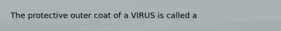 The protective outer coat of a VIRUS is called a