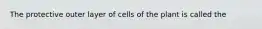 The protective outer layer of cells of the plant is called the