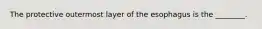 The protective outermost layer of the esophagus is the ________.