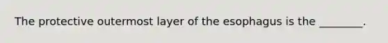 The protective outermost layer of the esophagus is the ________.