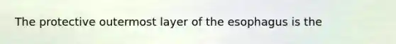 The protective outermost layer of the esophagus is the