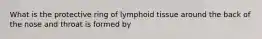 What is the protective ring of lymphoid tissue around the back of the nose and throat is formed by