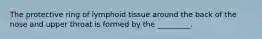 The protective ring of lymphoid tissue around the back of the nose and upper throat is formed by the _________.