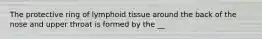 The protective ring of lymphoid tissue around the back of the nose and upper throat is formed by the __