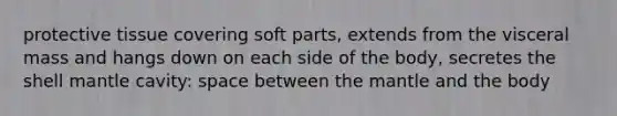 protective tissue covering soft parts, extends from the visceral mass and hangs down on each side of the body, secretes the shell mantle cavity: space between the mantle and the body