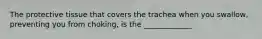 The protective tissue that covers the trachea when you swallow, preventing you from choking, is the _____________