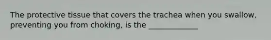 The protective tissue that covers the trachea when you swallow, preventing you from choking, is the _____________