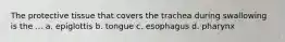 The protective tissue that covers the trachea during swallowing is the ... a. epiglottis b. tongue c. esophagus d. pharynx