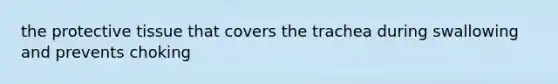 the protective tissue that covers the trachea during swallowing and prevents choking