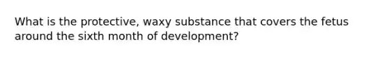 What is the protective, waxy substance that covers the fetus around the sixth month of development?