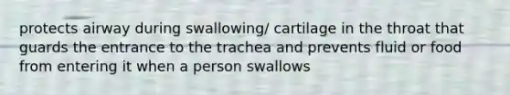 protects airway during swallowing/ cartilage in the throat that guards the entrance to the trachea and prevents fluid or food from entering it when a person swallows