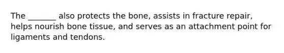 The _______ also protects the bone, assists in fracture repair, helps nourish bone tissue, and serves as an attachment point for ligaments and tendons.