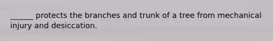 ______ protects the branches and trunk of a tree from mechanical injury and desiccation.