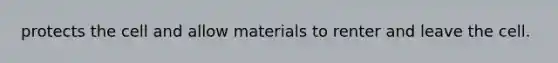 protects the cell and allow materials to renter and leave the cell.