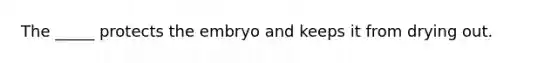 The _____ protects the embryo and keeps it from drying out.