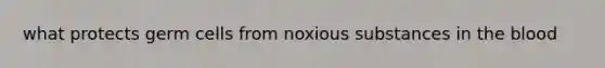 what protects germ cells from noxious substances in the blood