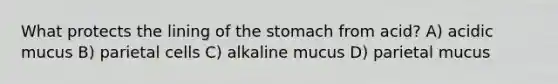 What protects the lining of the stomach from​ acid? A) acidic mucus B) parietal cells C) alkaline mucus D) parietal mucus