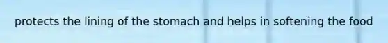 protects the lining of <a href='https://www.questionai.com/knowledge/kLccSGjkt8-the-stomach' class='anchor-knowledge'>the stomach</a> and helps in softening the food