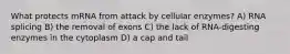 What protects mRNA from attack by cellular enzymes? A) RNA splicing B) the removal of exons C) the lack of RNA-digesting enzymes in the cytoplasm D) a cap and tail