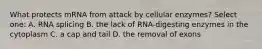 What protects mRNA from attack by cellular enzymes? Select one: A. RNA splicing B. the lack of RNA-digesting enzymes in the cytoplasm C. a cap and tail D. the removal of exons