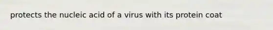 protects the nucleic acid of a virus with its protein coat