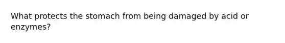What protects the stomach from being damaged by acid or enzymes?