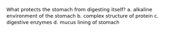 What protects the stomach from digesting itself? a. alkaline environment of the stomach b. complex structure of protein c. digestive enzymes d. mucus lining of stomach