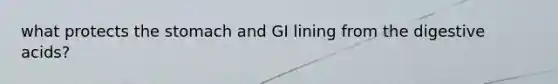 what protects the stomach and GI lining from the digestive acids?