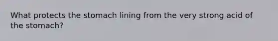 What protects the stomach lining from the very strong acid of the stomach?