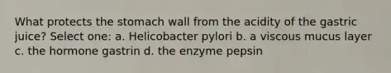 What protects the stomach wall from the acidity of the gastric juice? Select one: a. Helicobacter pylori b. a viscous mucus layer c. the hormone gastrin d. the enzyme pepsin