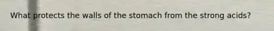 What protects the walls of the stomach from the strong acids?