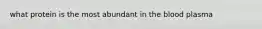 what protein is the most abundant in the blood plasma