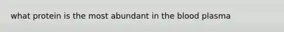 what protein is the most abundant in the blood plasma