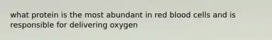 what protein is the most abundant in red blood cells and is responsible for delivering oxygen