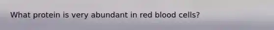 What protein is very abundant in red blood cells?