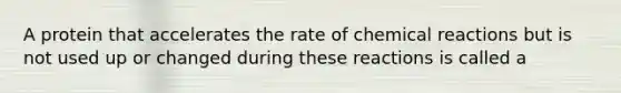 A protein that accelerates the rate of chemical reactions but is not used up or changed during these reactions is called a