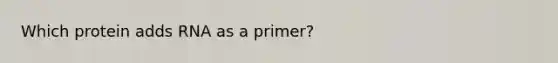 Which protein adds RNA as a primer?